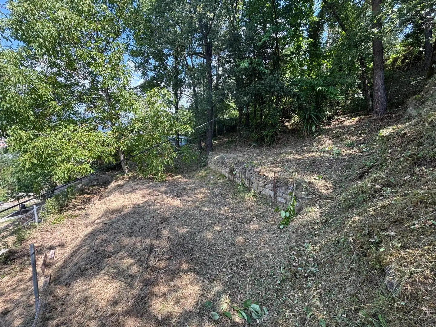 Finca rústica en venta en Ripoll