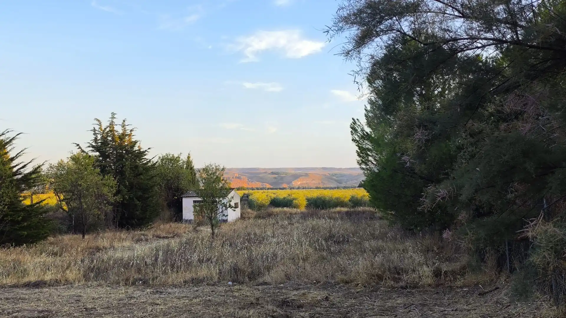 Terreno residencial en venta en Colmenar de Oreja, imagen 14