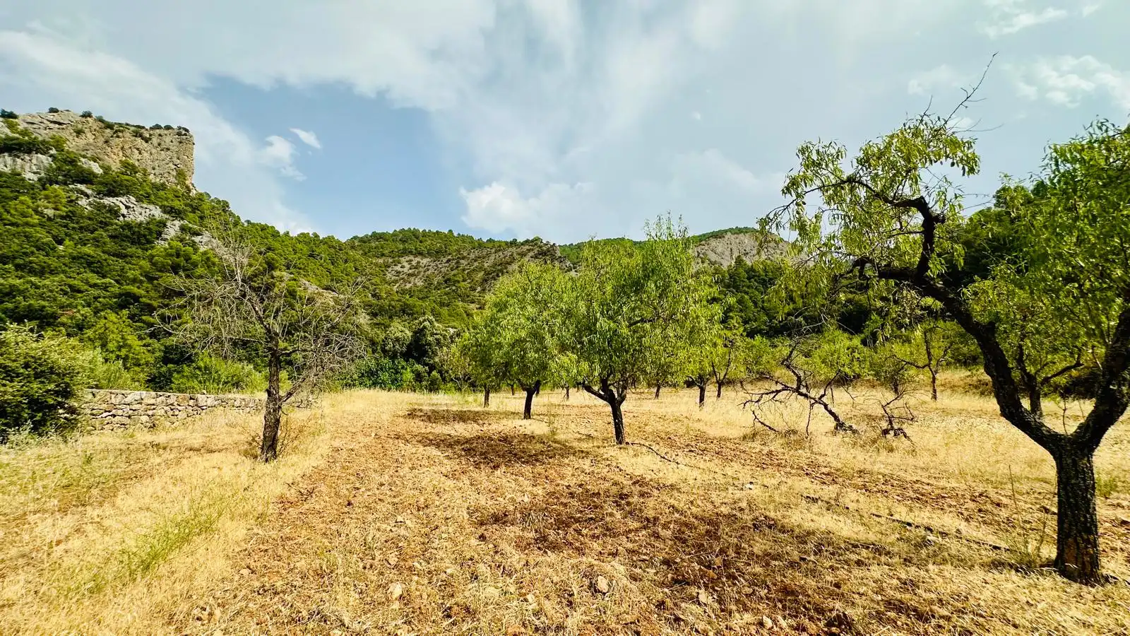 Rural land for sale in Horta de Sant Joan, imagen 9