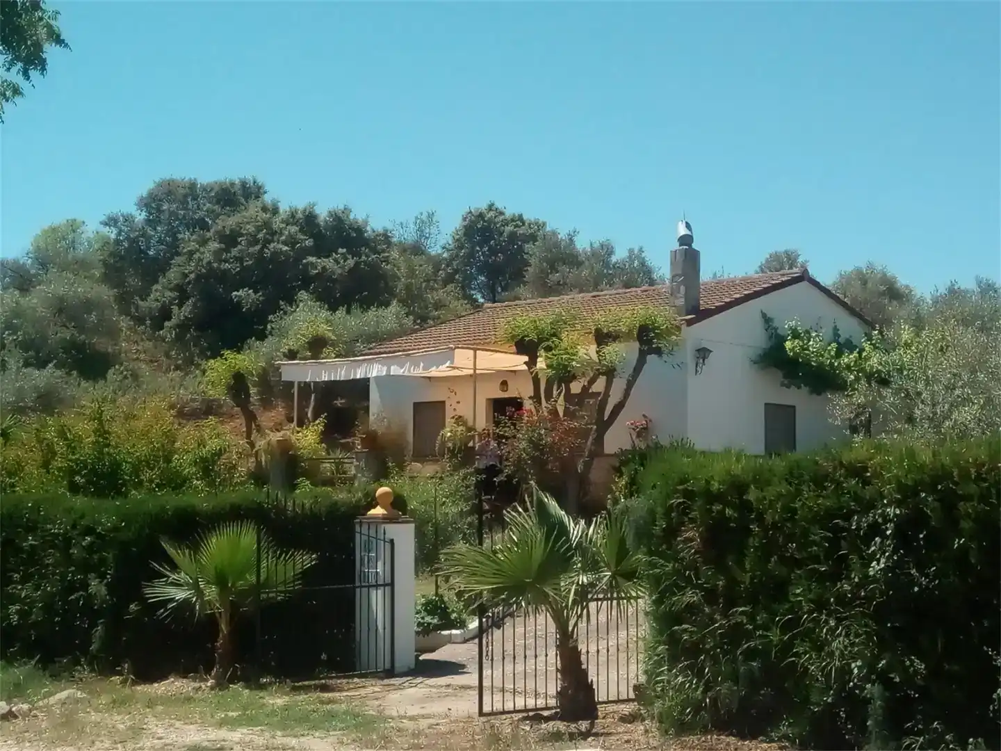 Jardín de Terreno en venta en Montellano