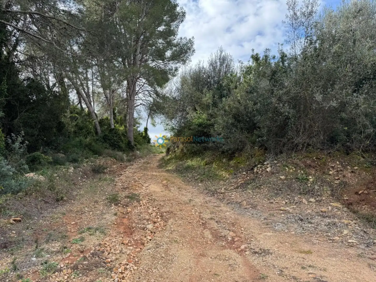 Rural land for sale in Benigànim, imagen 13