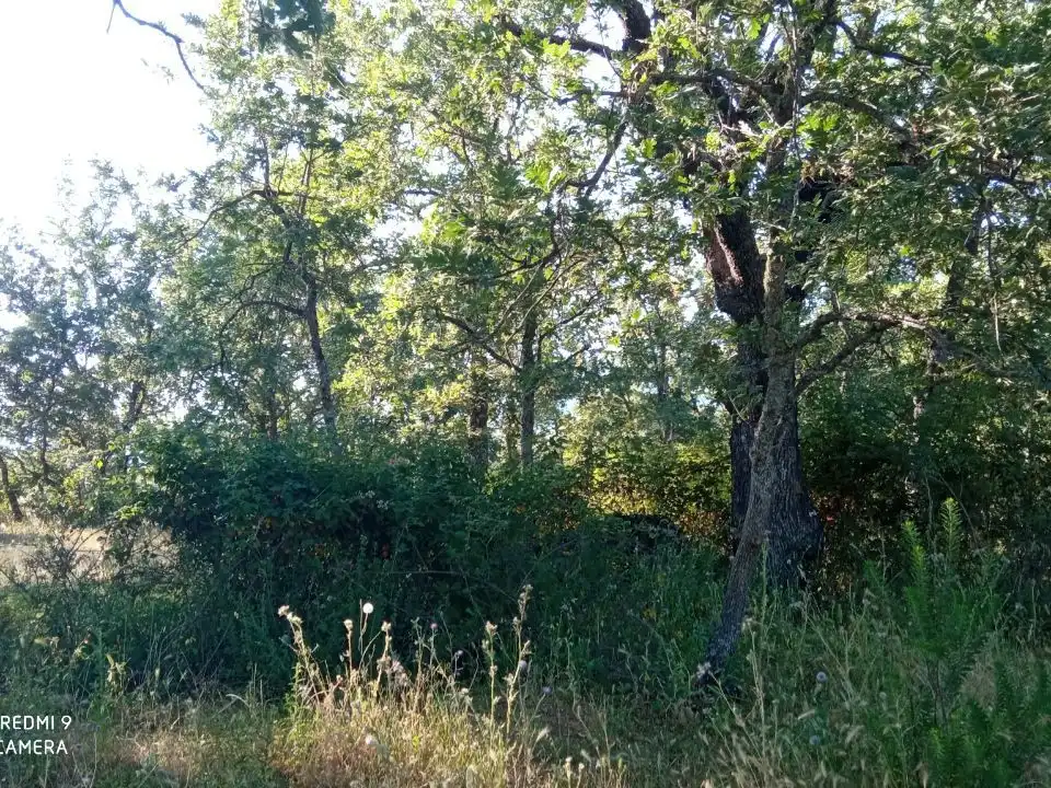 Terreno en venta en Robledillo de la Vera