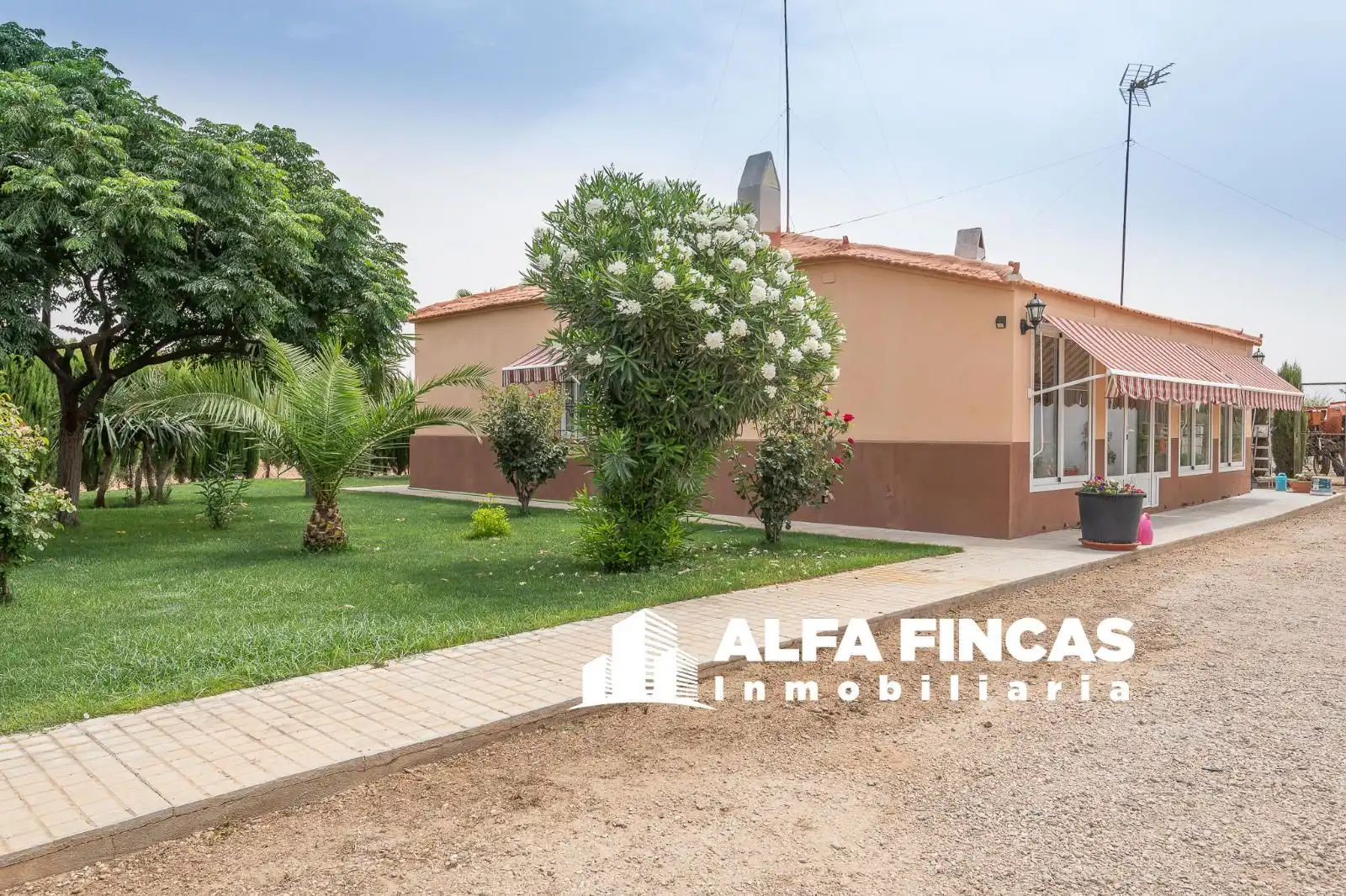 Vista exterior de Casa o xalet en venda en El Provencio   amb Calefacció, Jardí privat i Terrassa