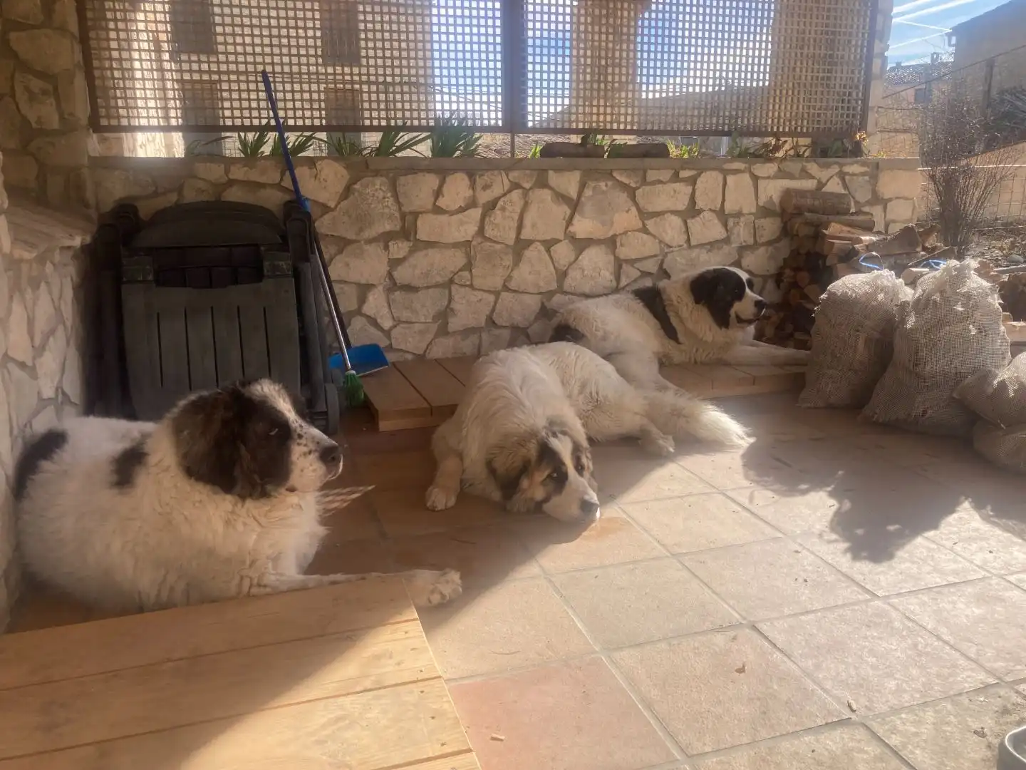 House with pool for sale in Raval 22, imagen 14