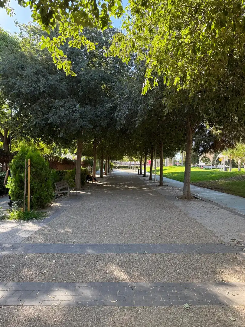 Flat with terrace for sale in CIBELES, imagen 7