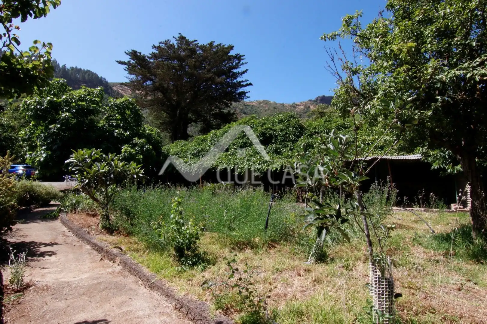 Terreno en venta en Vega de San Mateo
