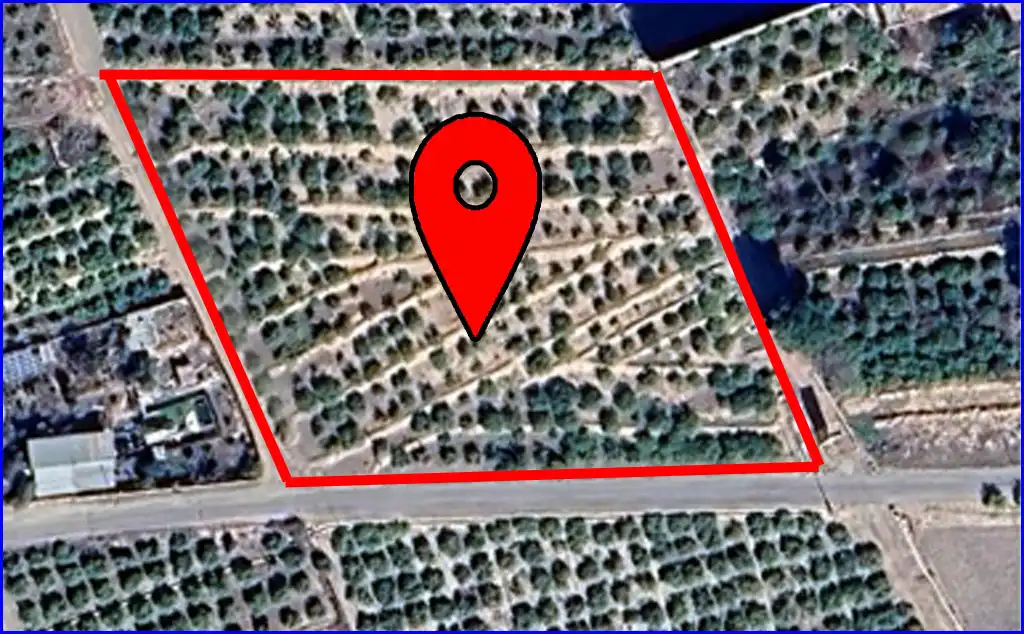 Terrain rustique à vendre à Diseminado la Carr Venta 1, imagen 5