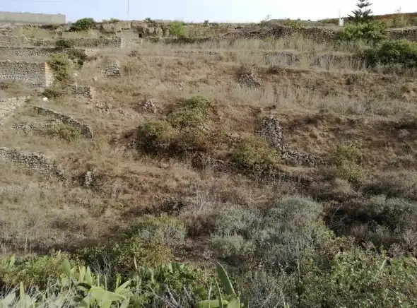Rural land for sale in Centro, imagen 14