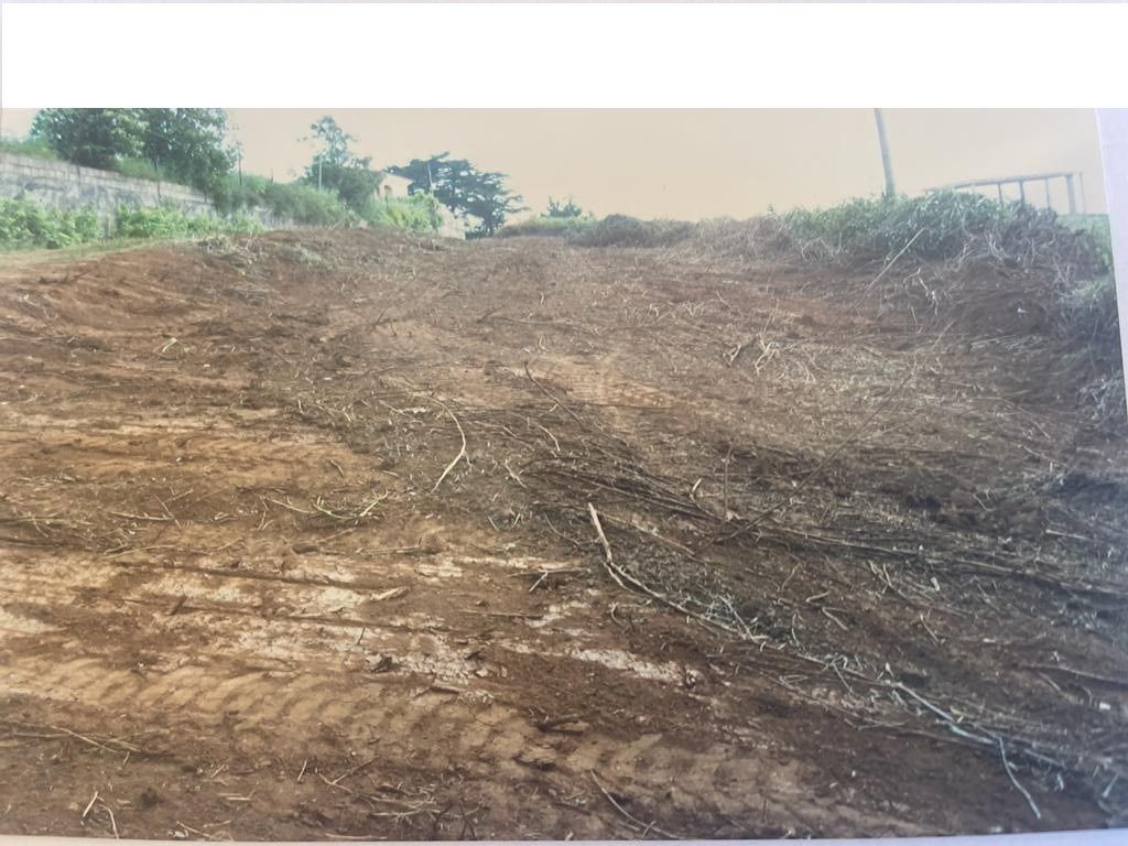 Residential zum Verkauf in Tacoronte