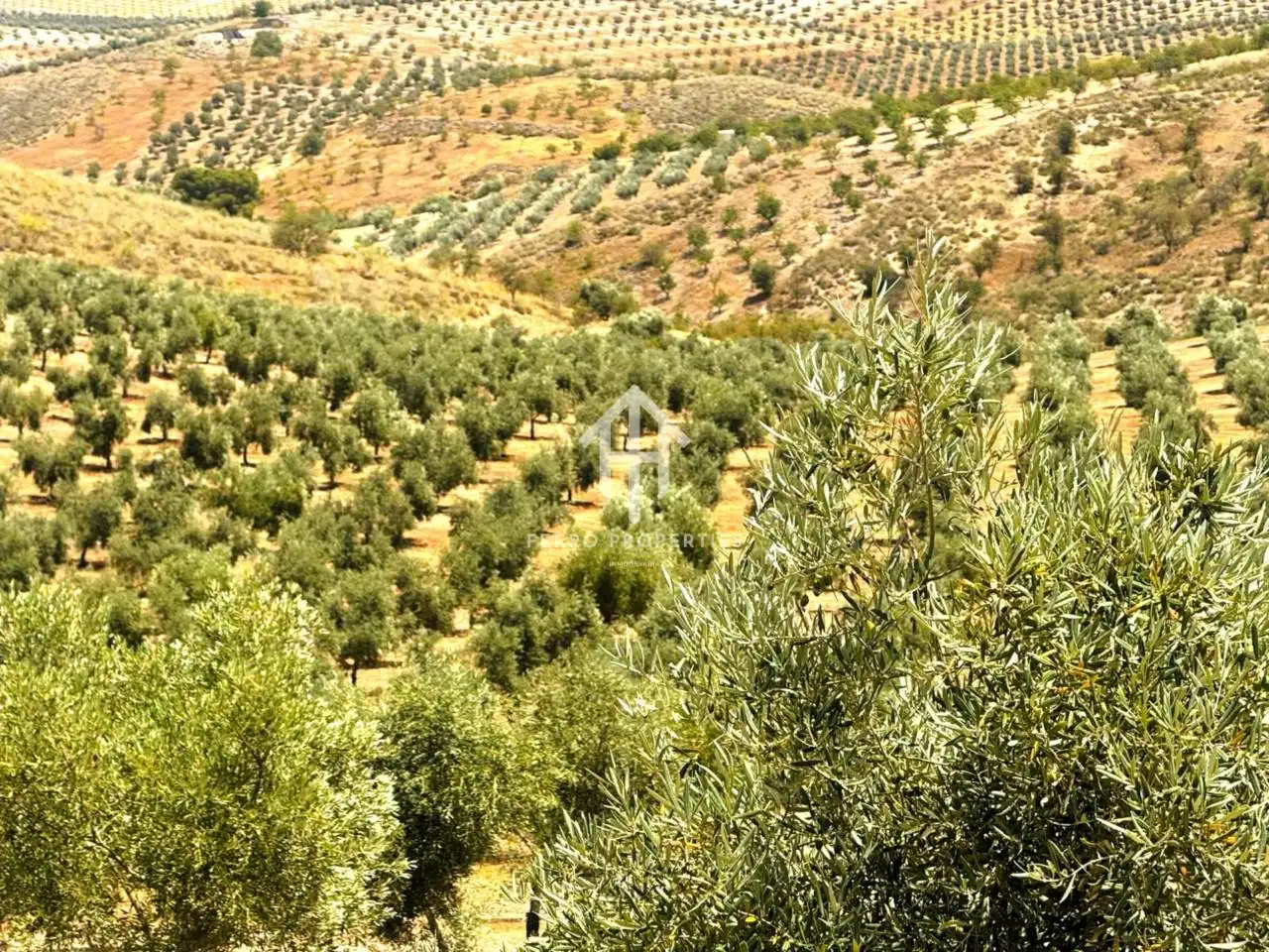 Rustikales Grundstück zum Verkauf in Moraleda de Zafayona, imagen 7