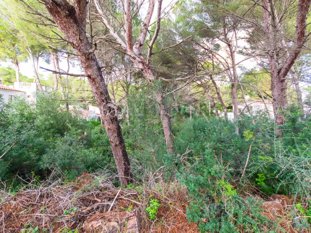 Residential land for sale in Son Parc, imagen 2