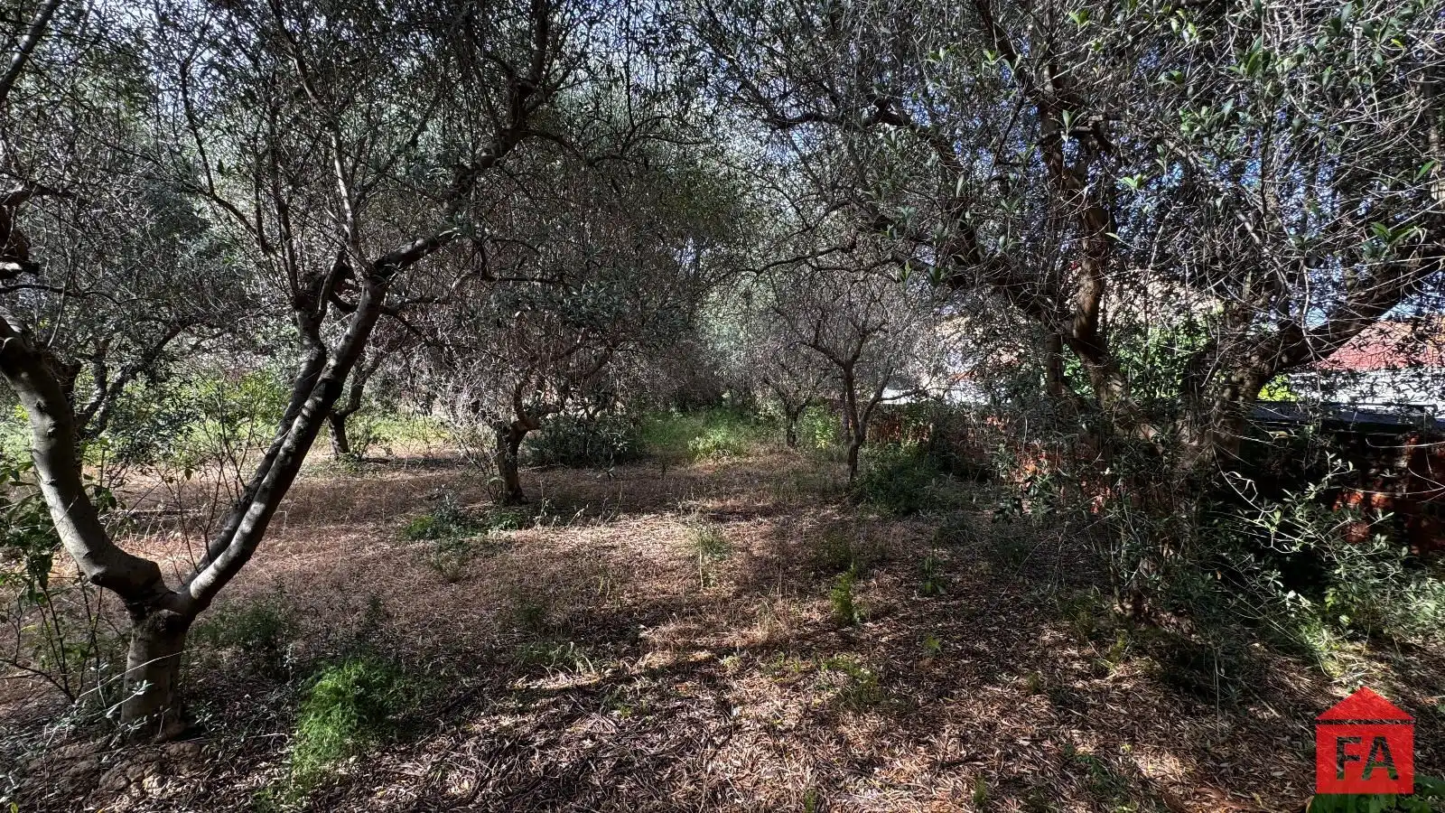 Terreny en venda en Albinyana
