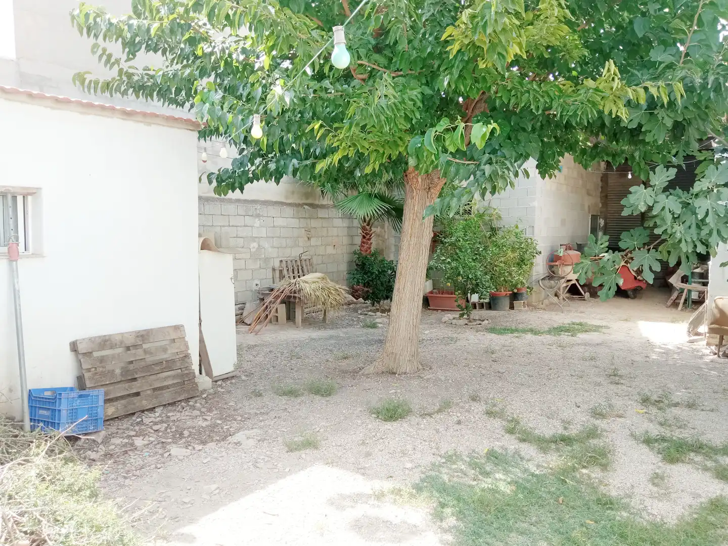 Mixto residencial en venta en Calle Luis Vives M 6, imagen 12