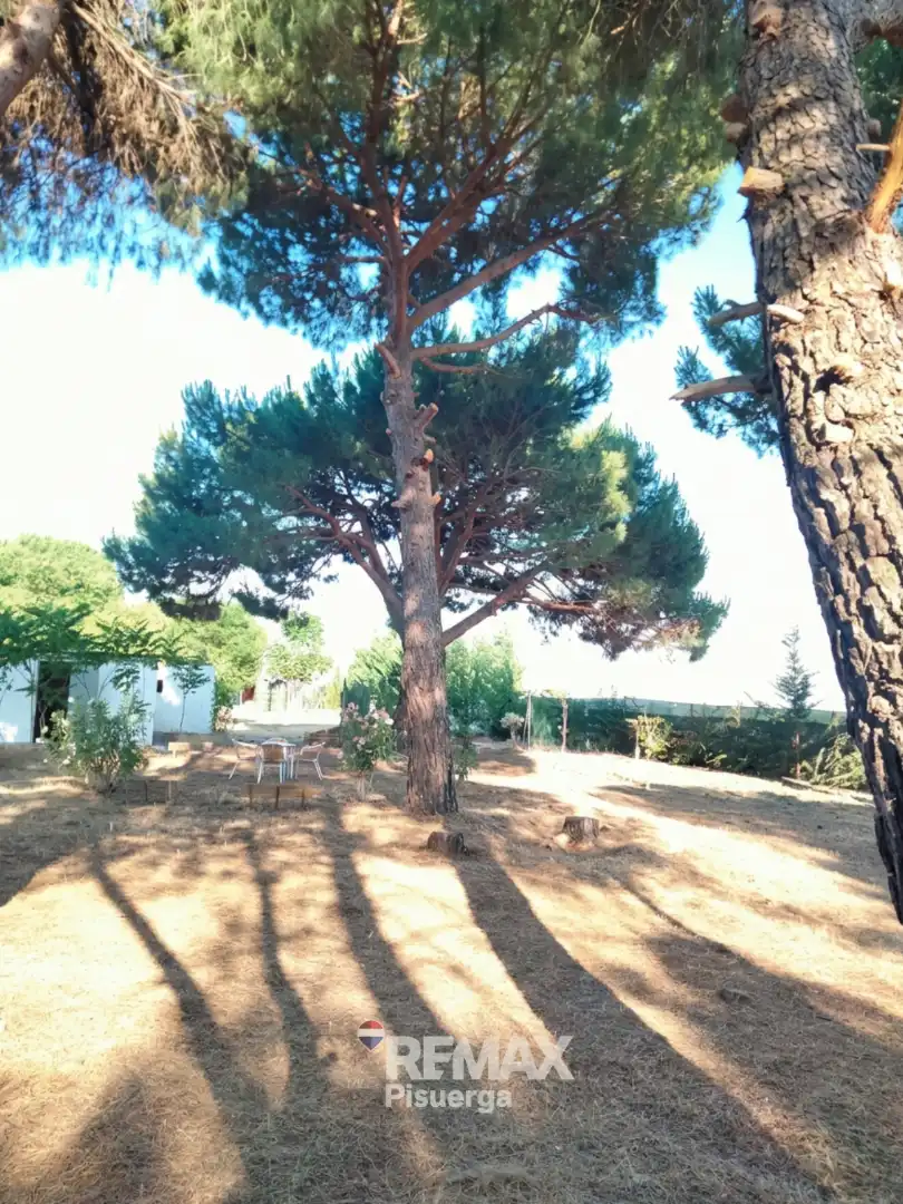 Terreni e lotti in vendita a Lugar Comun Viejo 2, imagen 19