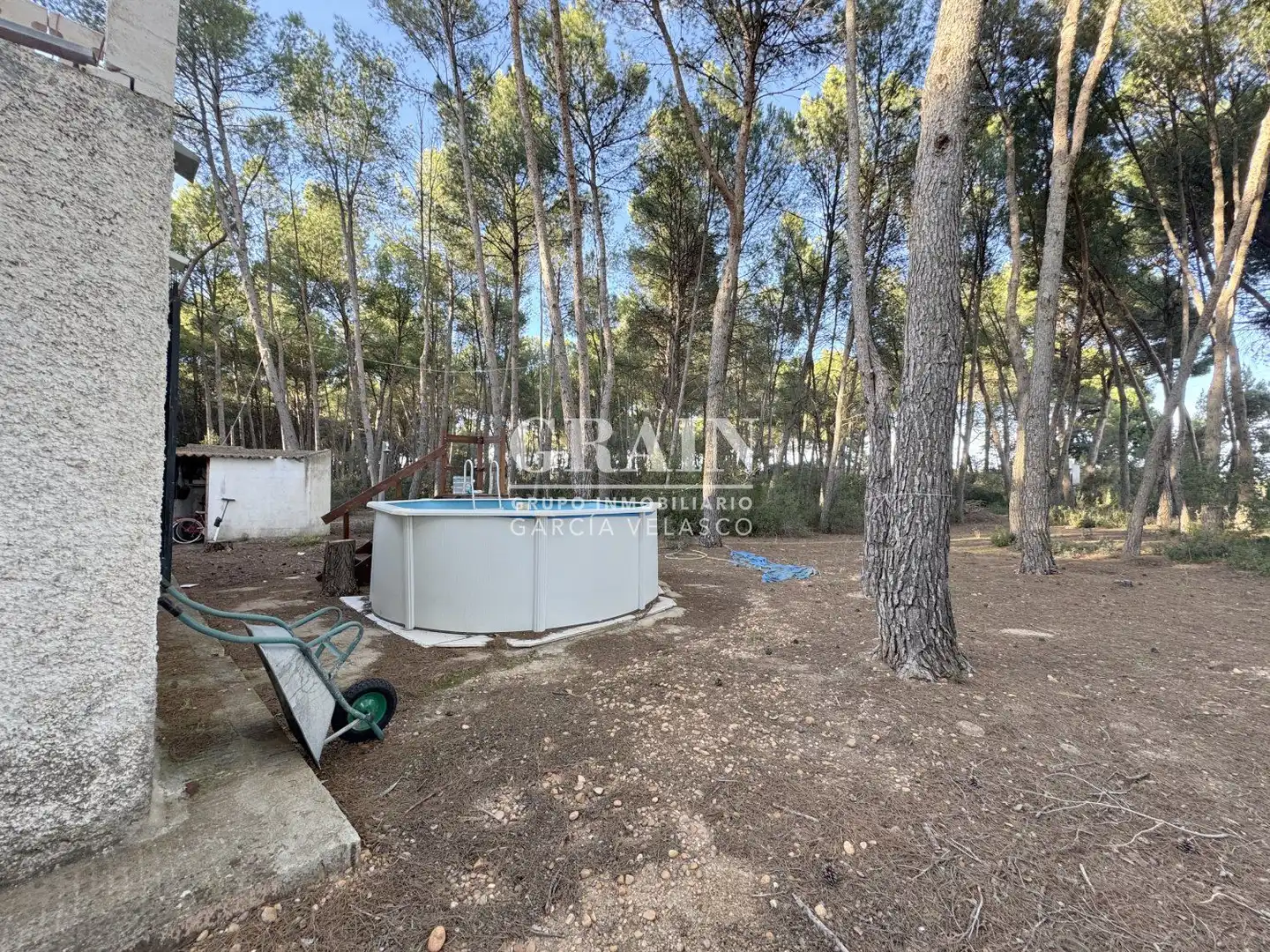 Jardín de Casa o chalet en venta en Albacete con Jardín privado