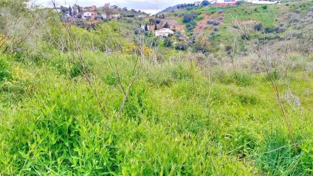 Terreni e lotti in vendita a Comares, imagen 10