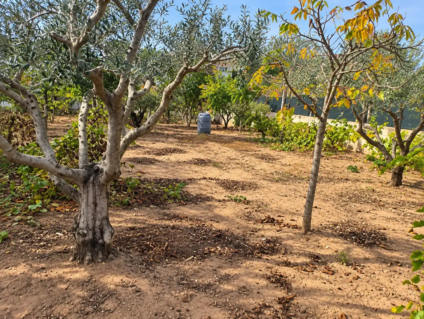Residential land for sale in Palau-solità i Plegamans, imagen 10
