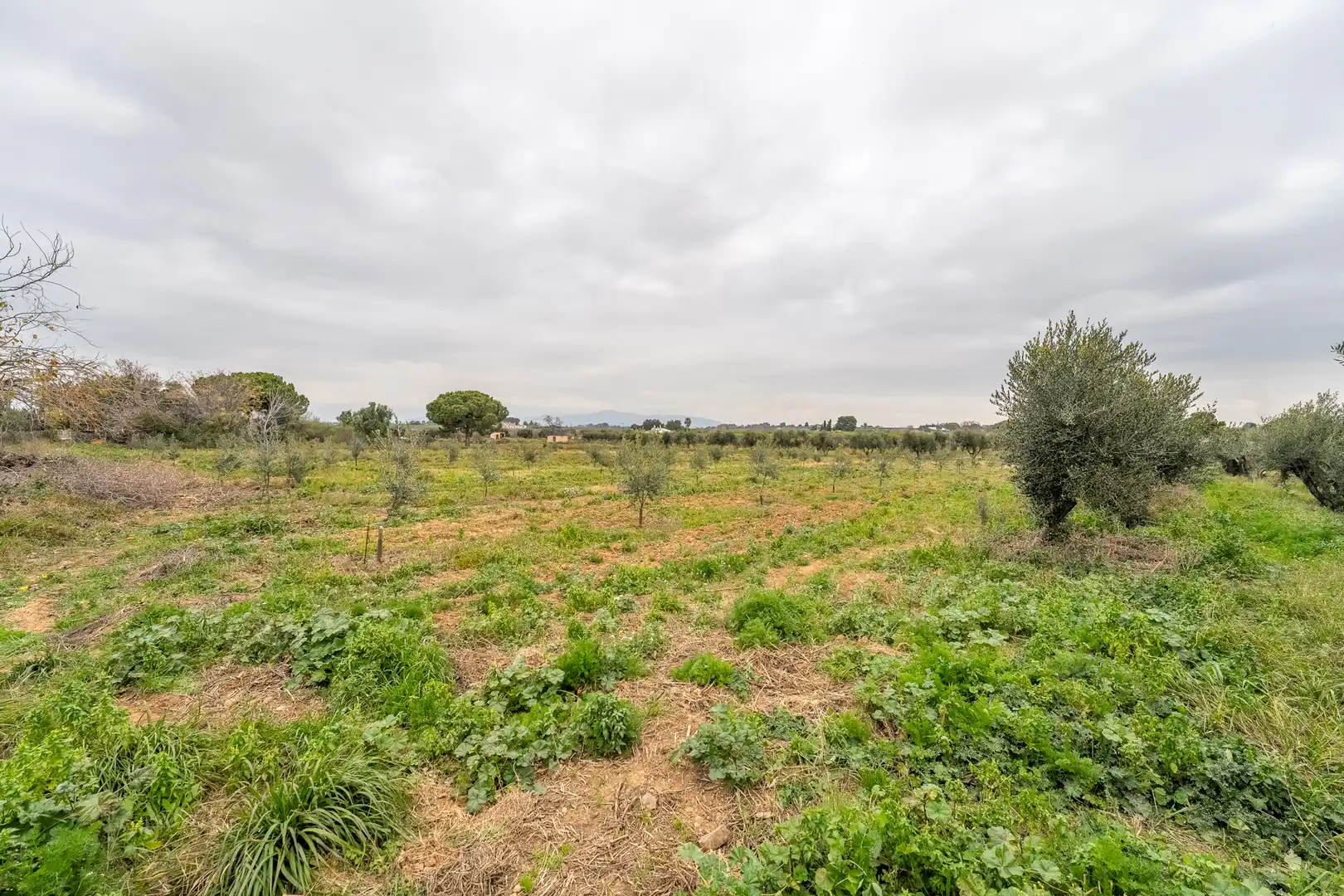 Casa rústica con jardín en venta en Riudoms, imagen 39