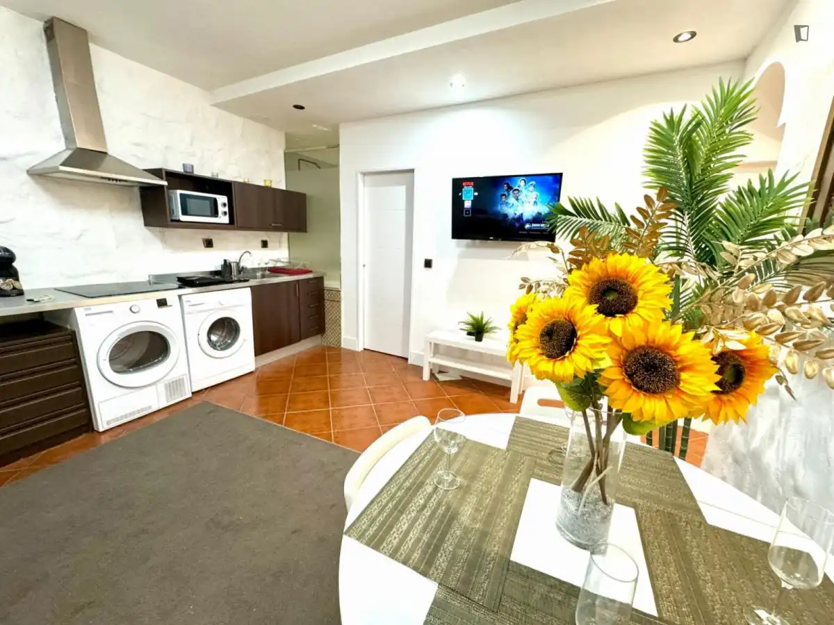 Apartamento con ascensor en alquiler en Centro, imagen 5