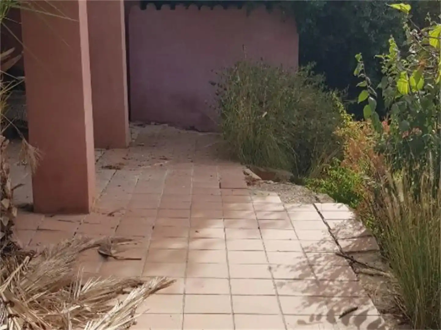 Jardín de Casa o chalet en venta en  Palma de Mallorca