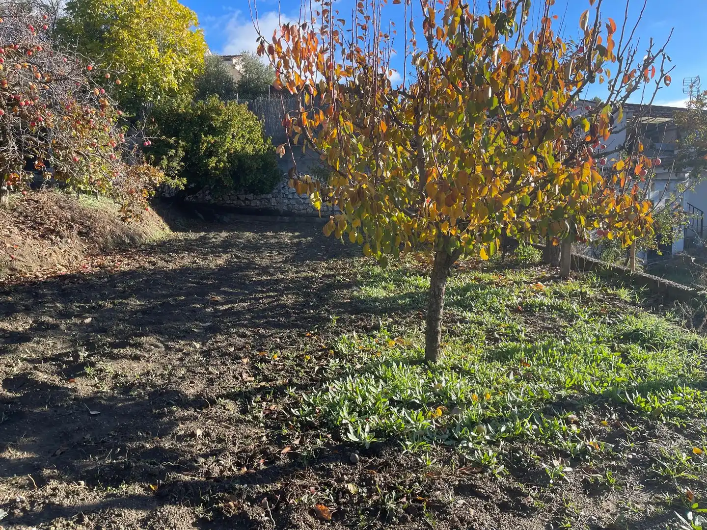 Terreno rustico in vendita a Huétor de Santillán, imagen 23