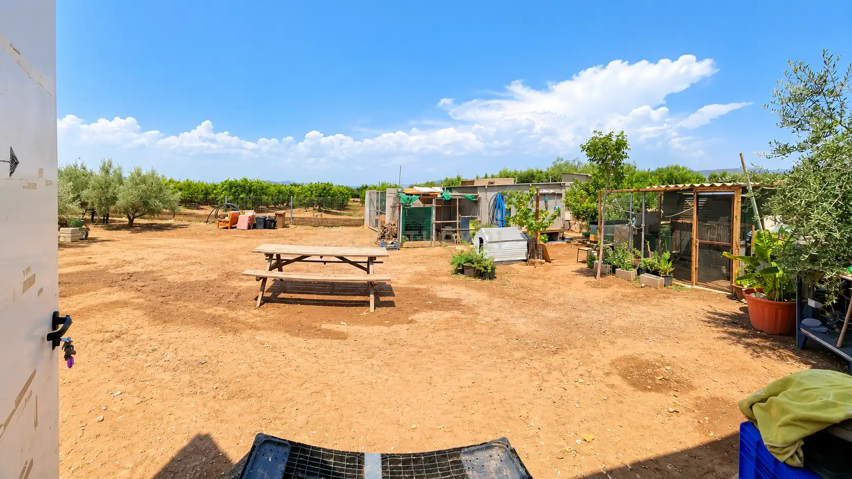 Garden of Houses for sale in Marines, Valencia
