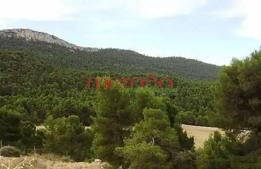 Casa rústica en venta en Castalla, imagen 2