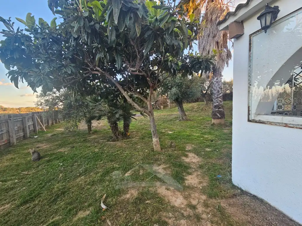Finca rústica en venta en Cambrils