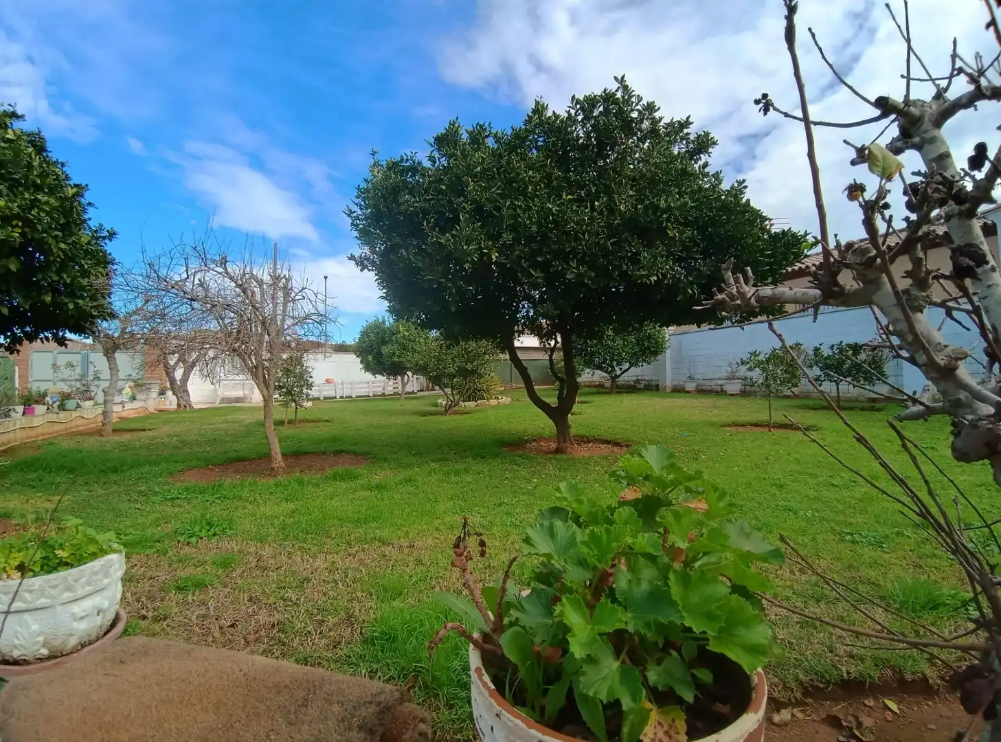 Jardín de Casa o chalet en venta en Chiclana de la Frontera con Jardín privado