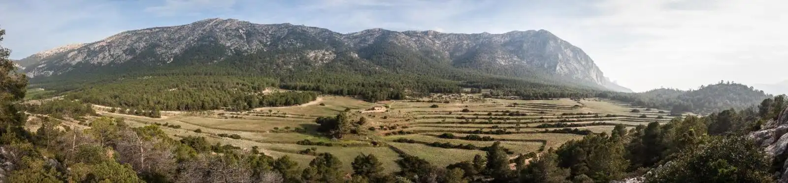Lands and plots for sale in Mula, imagen 6