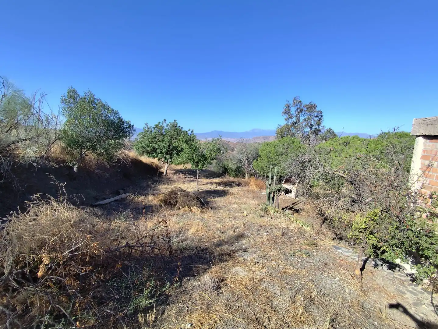 Finca rústica en venta en Cártama