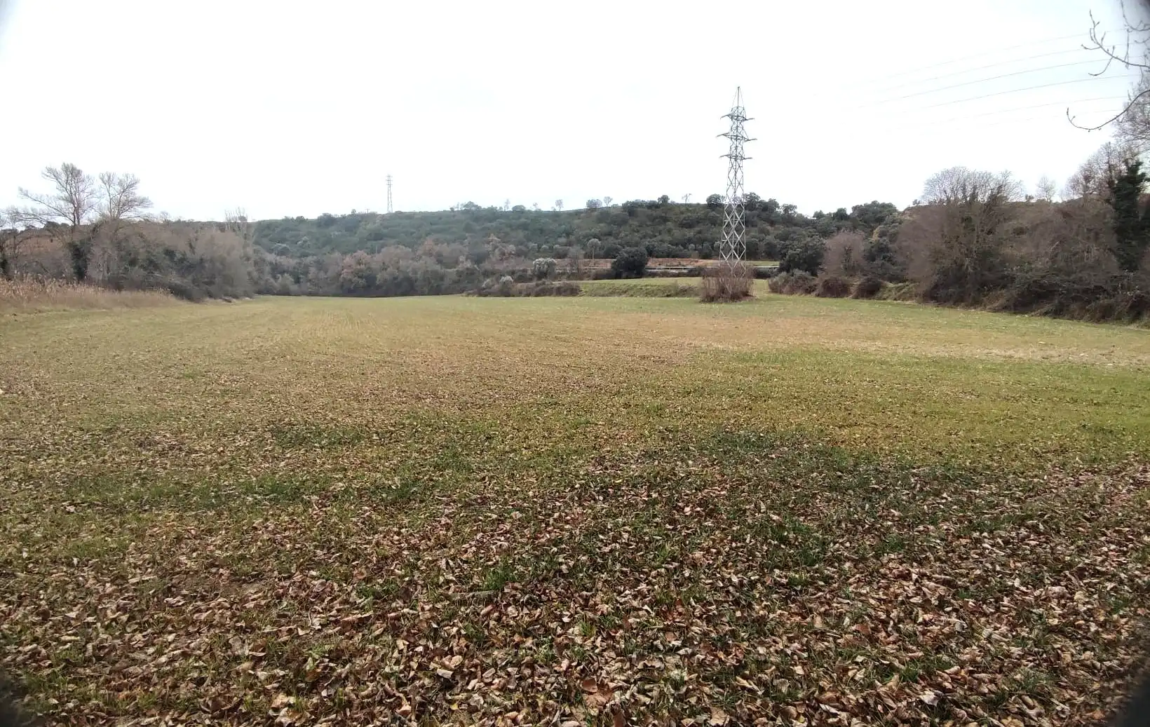 Terreni e lotti in vendita a El Grado, imagen 3