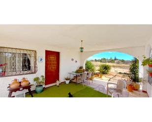 Garden of Country house for sale in Fuente Álamo de Murcia