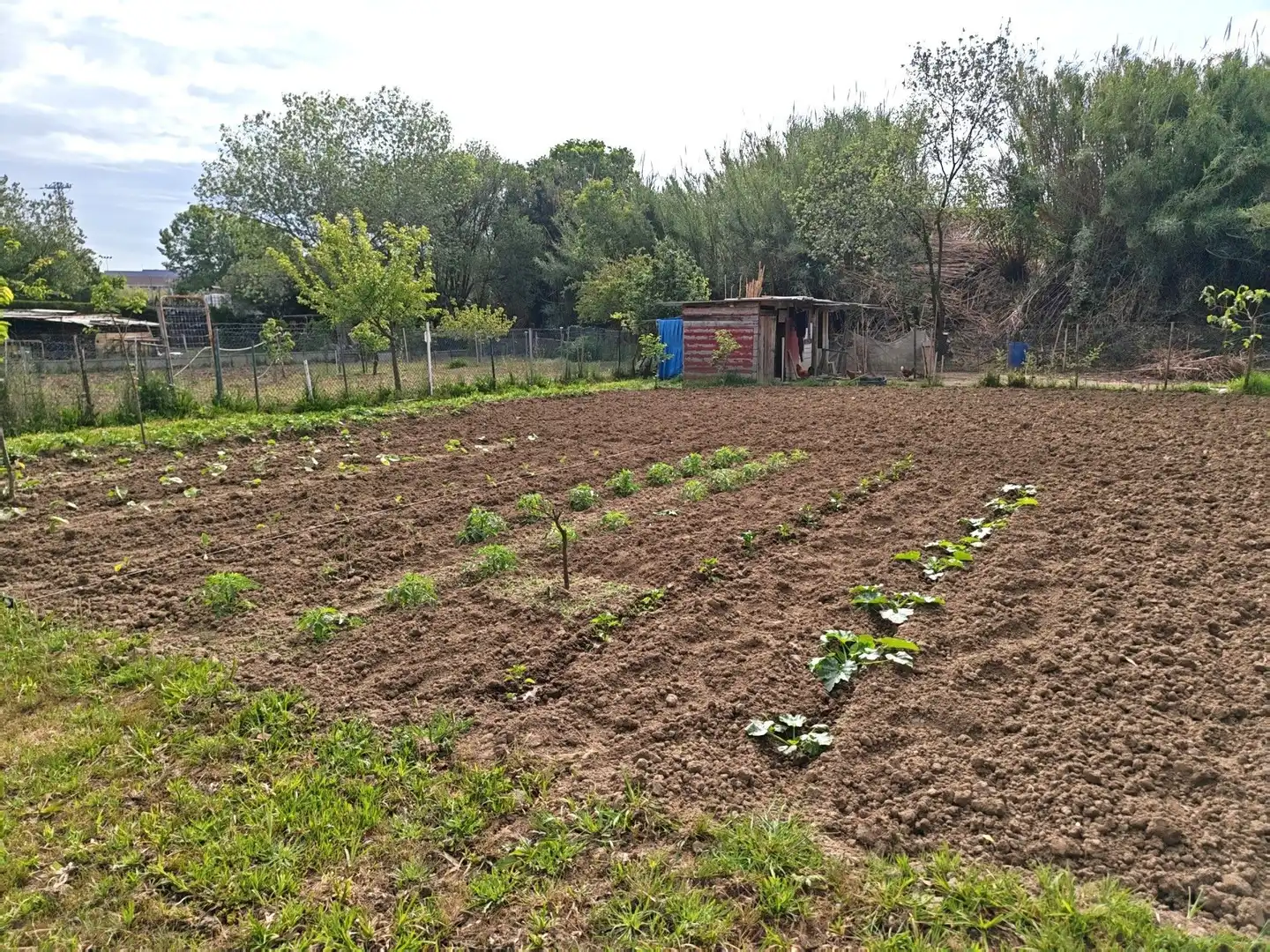 Grundstücke und Bauplätze zum Verkauf in Residencial Blanes - Vistamar, imagen 11