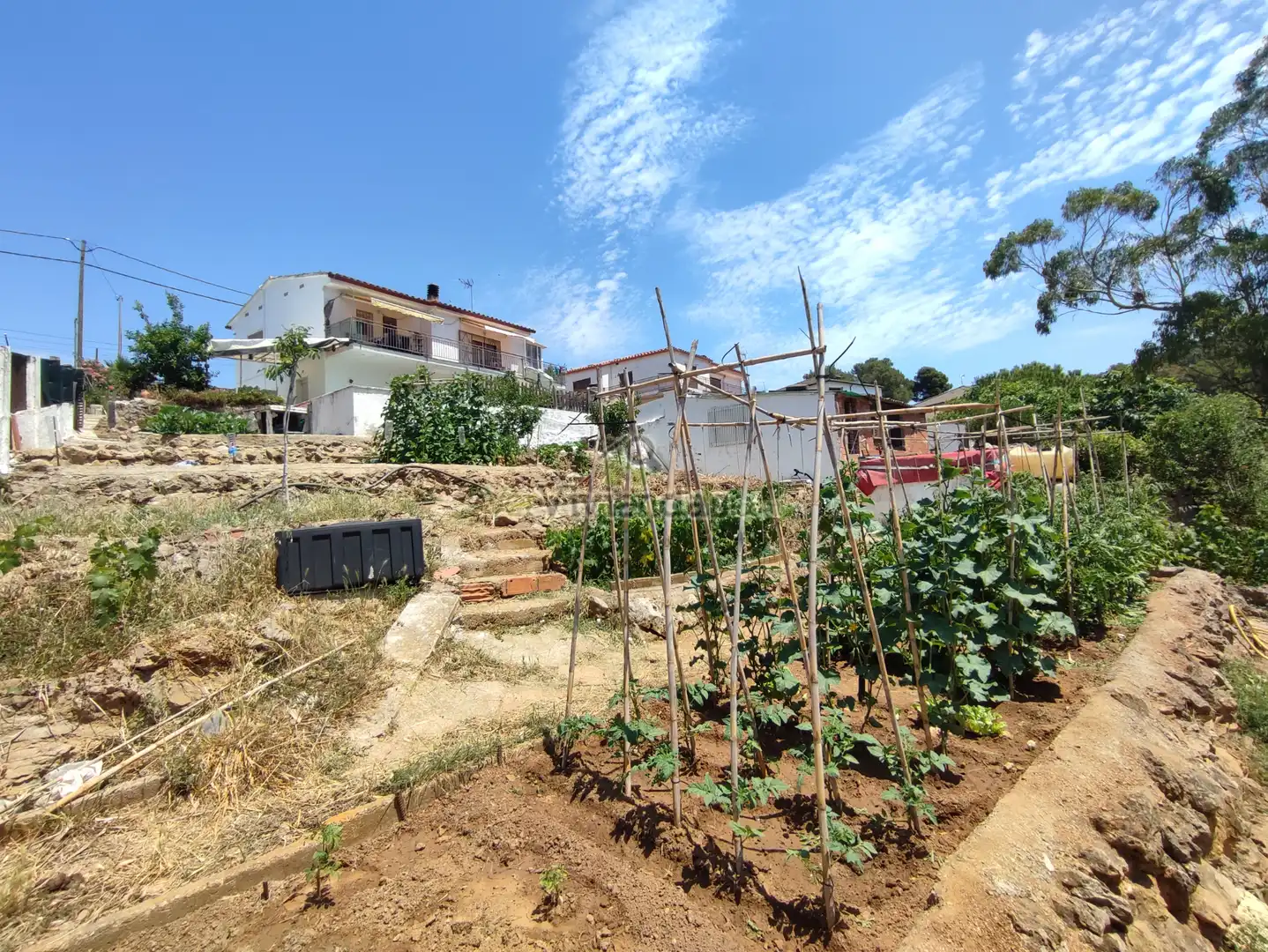 Casa con terrazza in vendita a Olesa de Bonesvalls, imagen 63