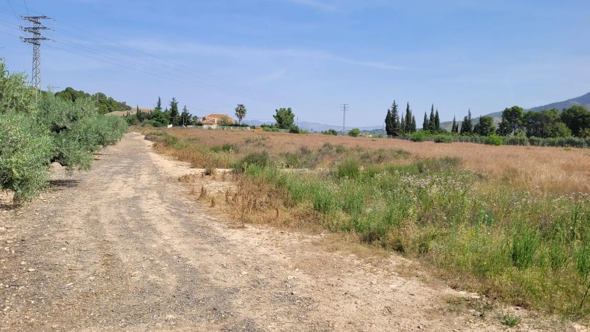 Terreno en venta en Blanca