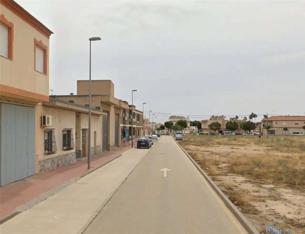 Exterior view of Detached homes for sale in Torre-Pacheco