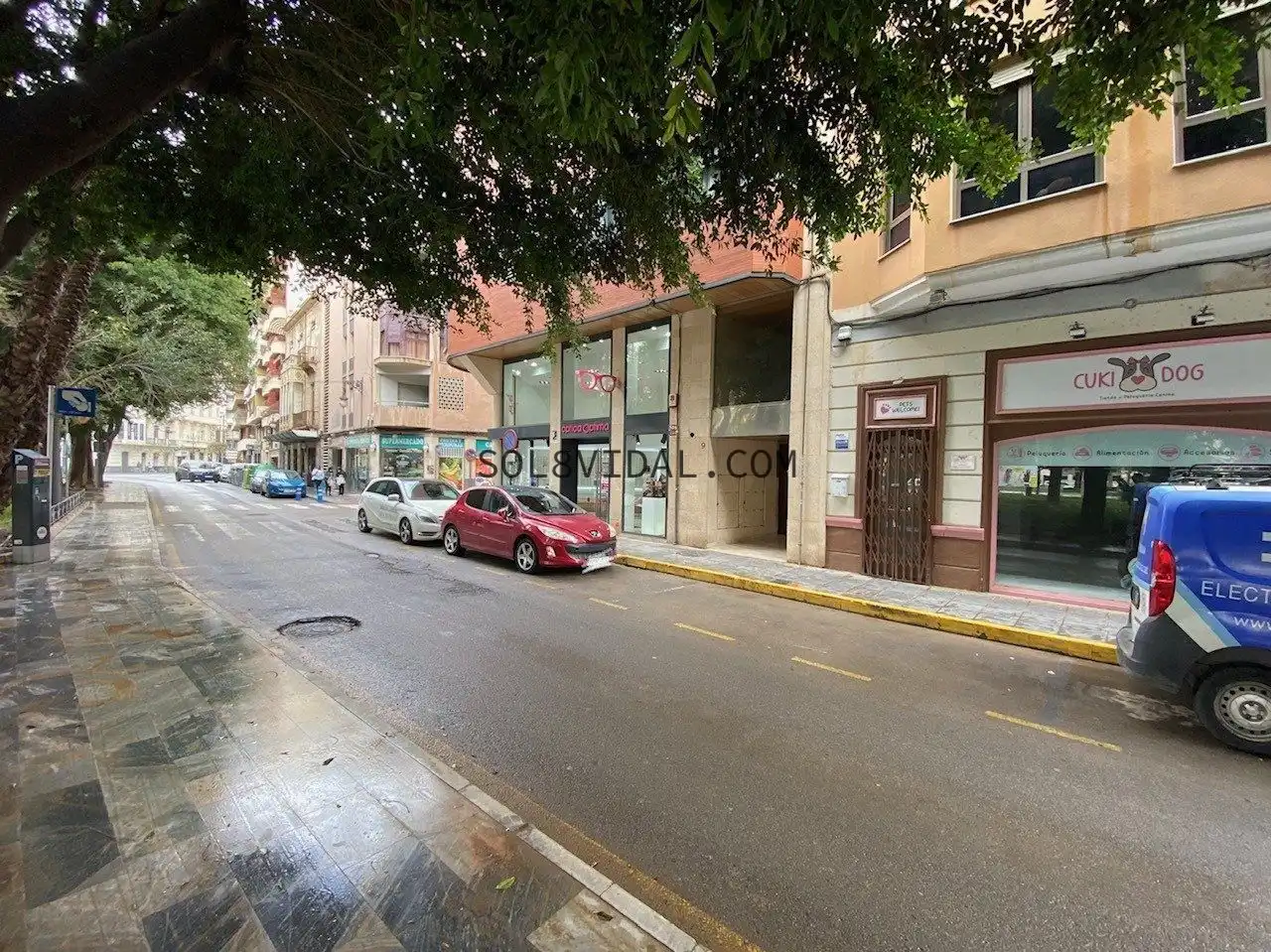 Business premises to rent in Calle san gregorio 11