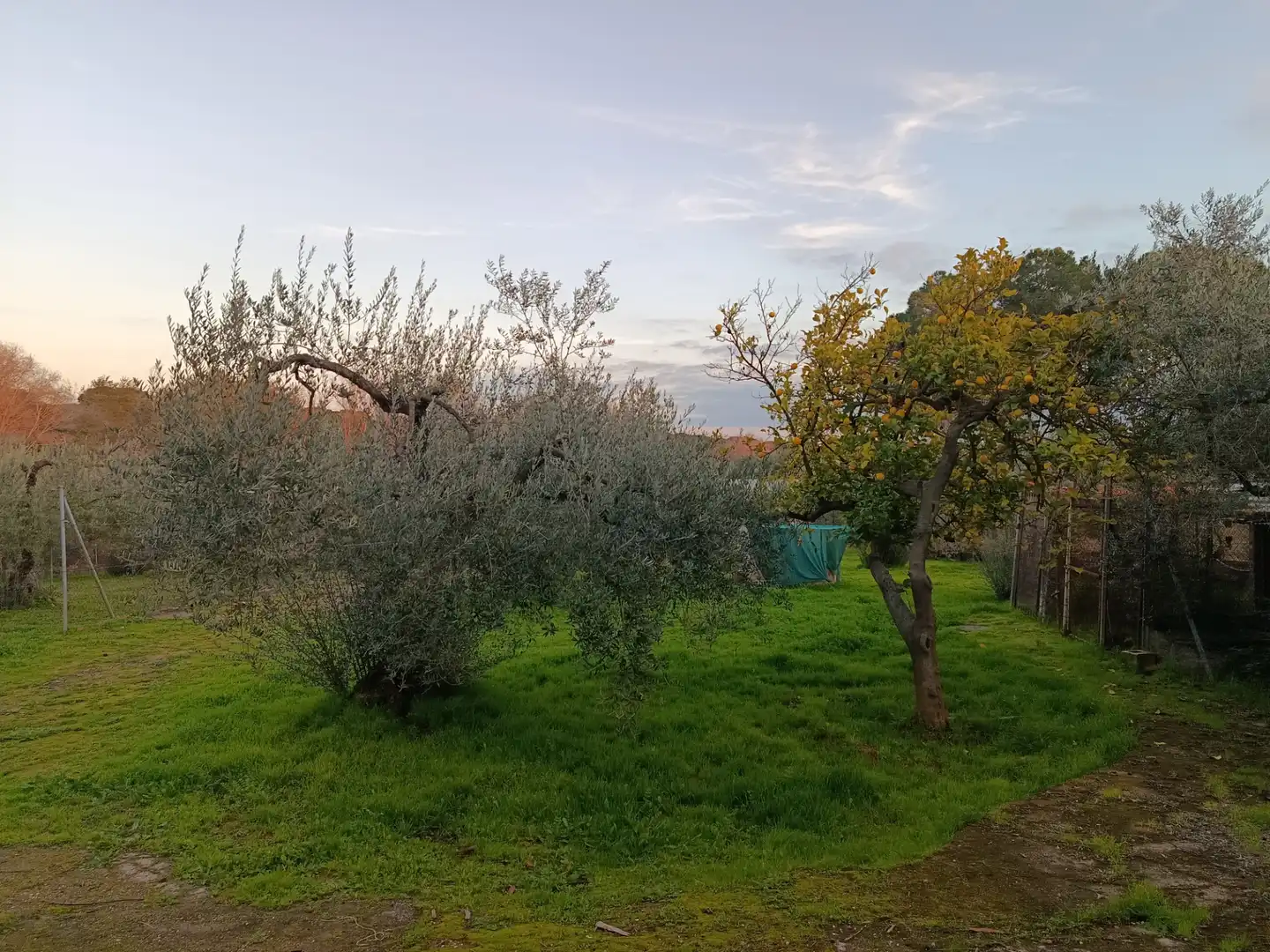 Garten von Country house zum Verkauf in Hinojos mit Privatgarten, Terrasse und Schwimmbad