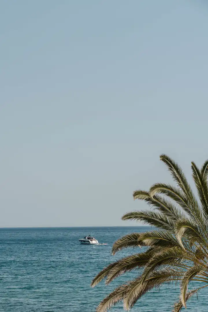 House with pool for sale in Marbella Centro, imagen 44