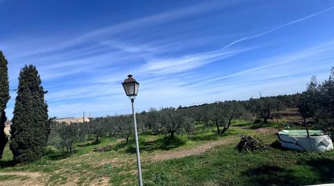 Photo 5 of Houses for sale in Pedanías Norte, Utrera