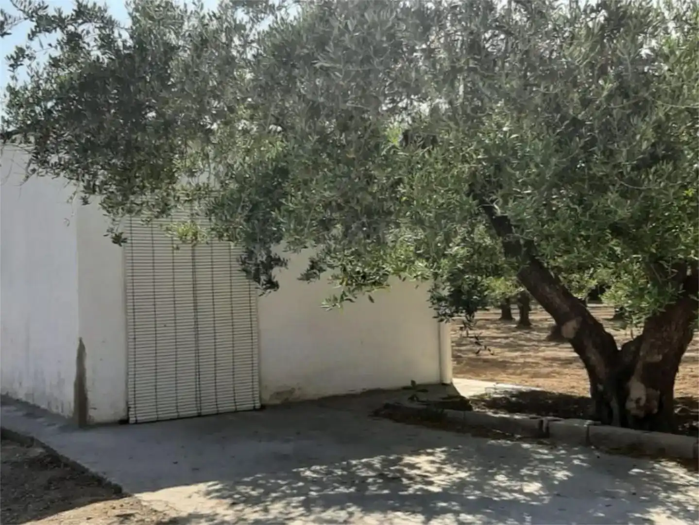 Finca rústica en venta en Ontinyent