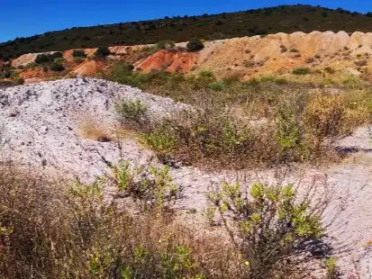 Terreny rústic en venda a parcela 191, imagen 15