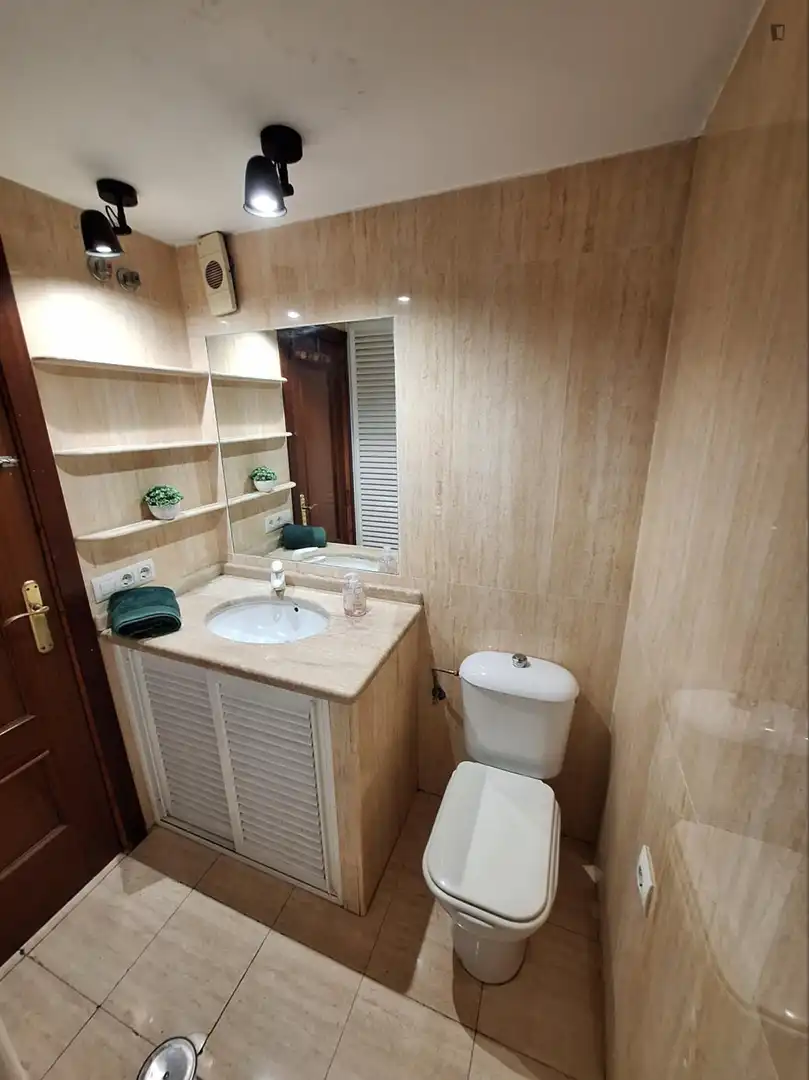 Bathroom of Apartments for share in Sevilla  with Furnished, Washing machine and Internet