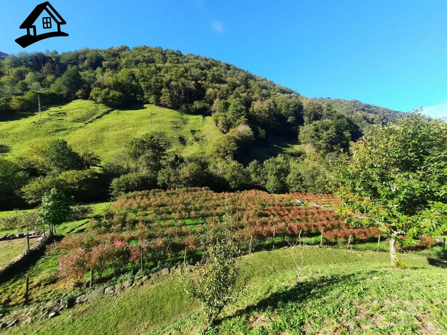 Casa rústica en venda a Vega de Pas, imagen 69