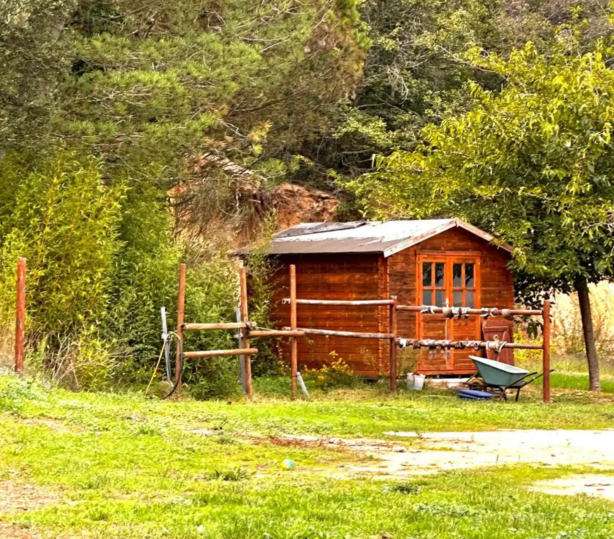 Casa in vendita a Montbarbat, imagen 9