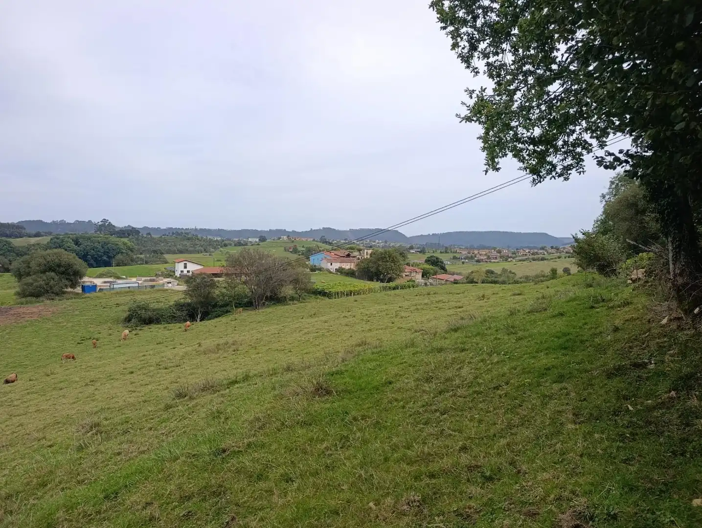 Rustikales Grundstück zum Verkauf in Carretera Piñera (Noriega) 0, imagen 24