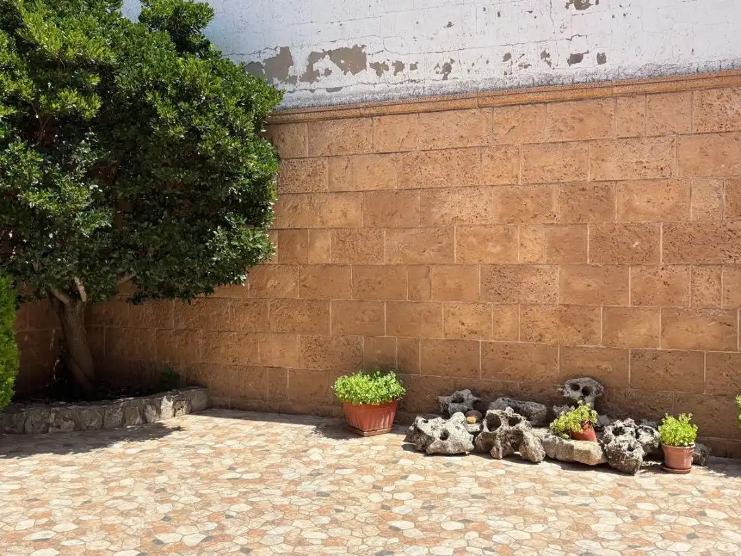 Terrace of Houses for sale in Vianos, Albacete