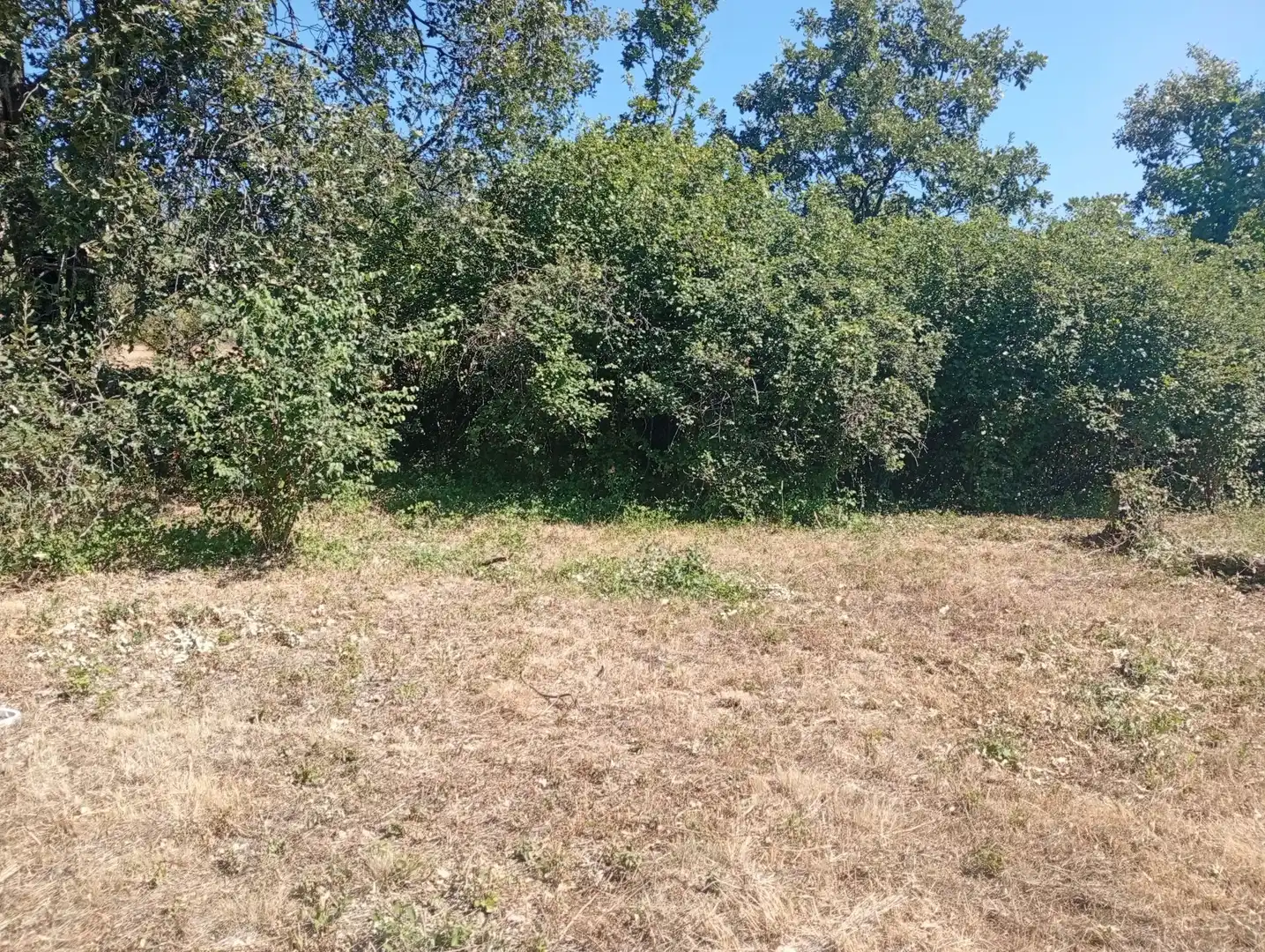 Terreni e lotti in vendita a Villanueva de la Vera, imagen 4