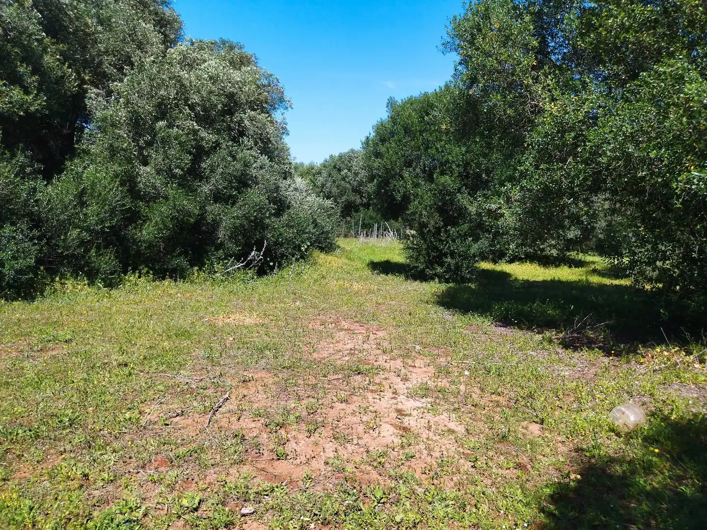 Casa rústica amb jardí en venda a N/A, imagen 19